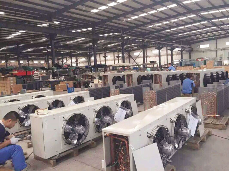 乐竞(中国)