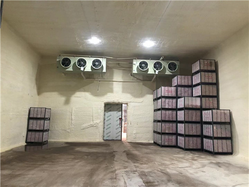 乐竞在线注册苹果冷库安装案例